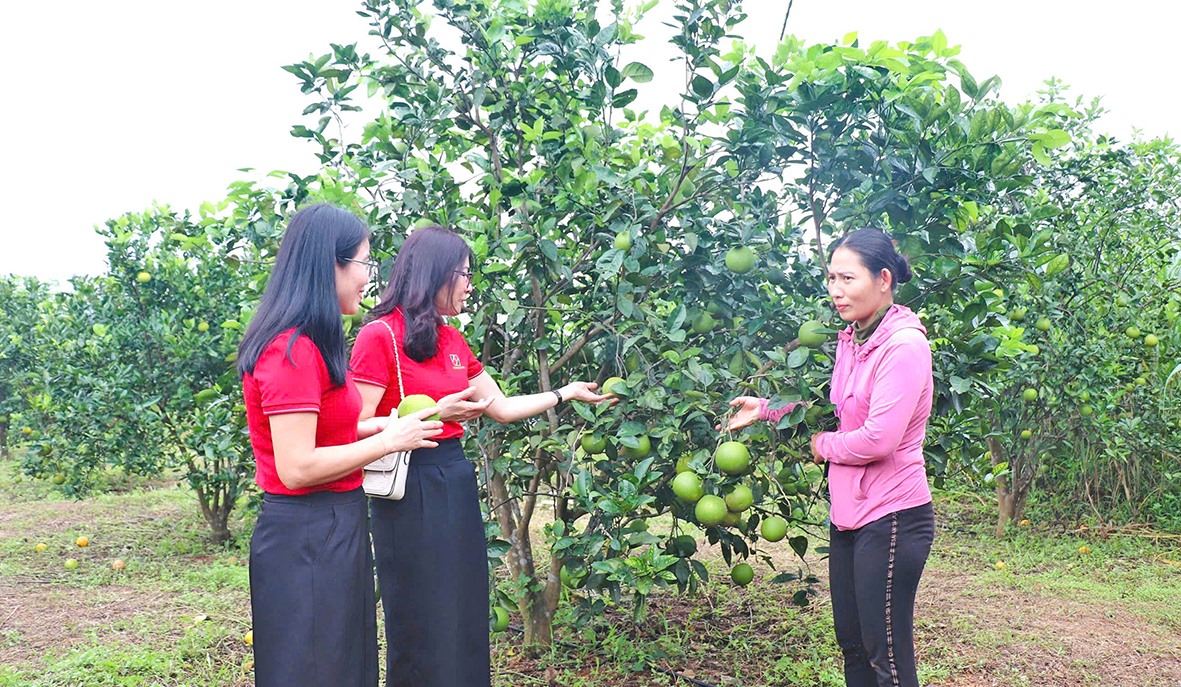 Cán bộ Ngân hàng Nông nghiệp và PTNT chi nhánh Triệu Phong kiểm tra việc sử dụng vốn của nông dân - Ảnh: M.L