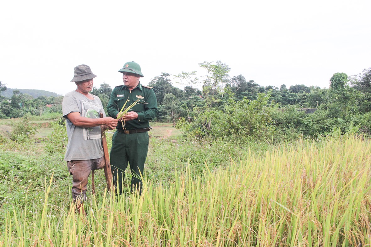 Ông Hồ Văn Bồng, ở thôn Cheng, xã Hướng Phùng (bên trái) được bộ đội biên phòng hướng dẫn kỹ thuật sản xuất giống lúa mới -Ảnh: BẢO BÌNH