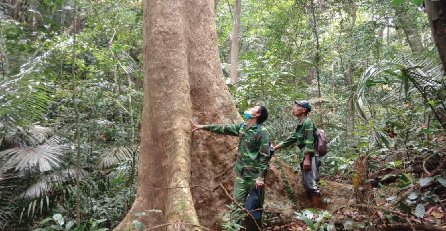 Cán bộ Khu bảo tồn thiên nhiên Bắc Hướng Hóa tuần tra bảo vệ rừng - Ảnh: H.T