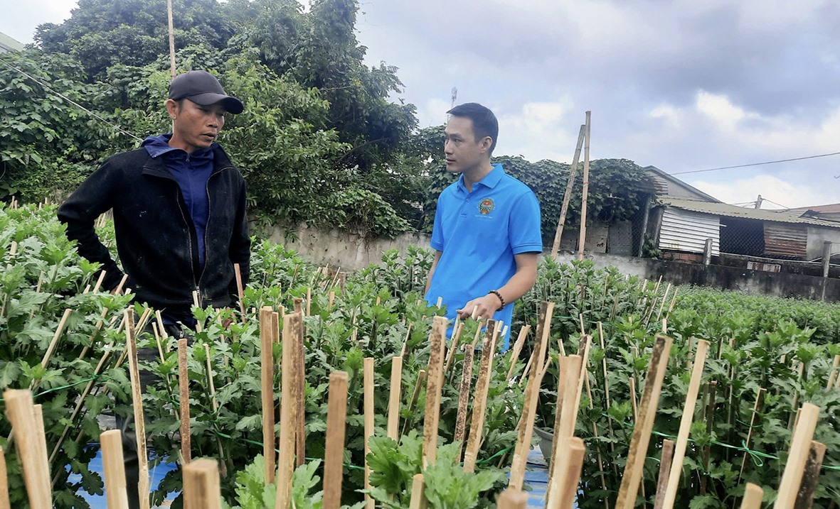 Anh Nguyễn Xuân Hiếu (trái) chia sẻ kinh nghiệm trồng hoa Tết -Ảnh: N.T