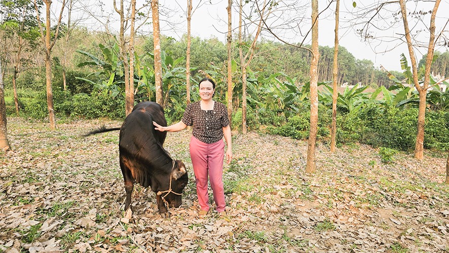 Thông qua mô hình chăn nuôi bò, cuộc sống của chị Thông đỡ đi phần nào vất vả - Ảnh: T.P