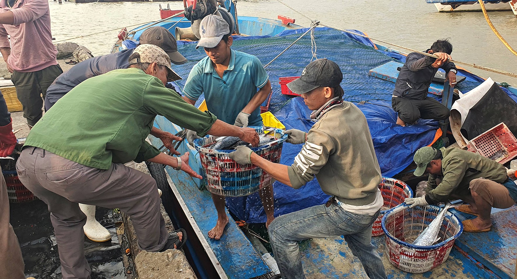 Ngư dân bốc dỡ thủy sản từ tàu đánh bắt xa bờ cập cảng cá Cửa Việt - Ảnh: L.A