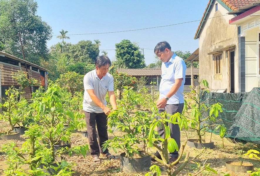 Ông Chung (bên trái) chia sẻ kinh nghiệm trồng hoa mai vàng - Ảnh: K.S