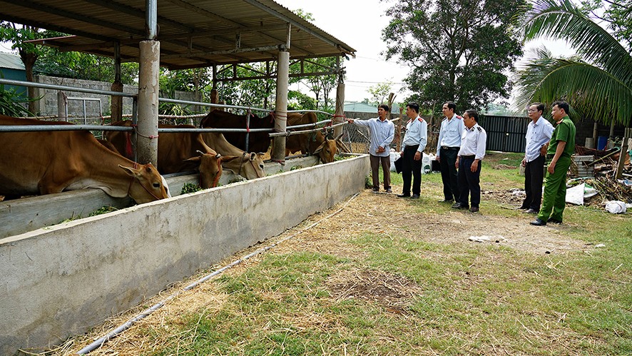 Đoàn thanh tra liên ngành của Sở Nông nghiệp và PTNT kiểm tra cơ sở chăn nuôi gia súc tại thị trấn Lao Bảo, huyện Hướng Hóa -Ảnh: L.A