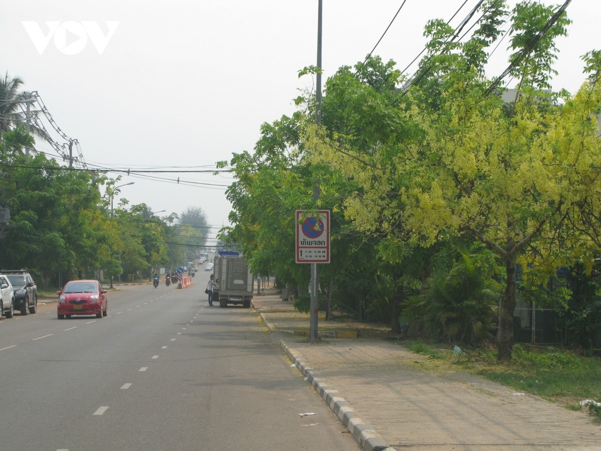 Thành phố ngập sắc hoa Dokkhoun