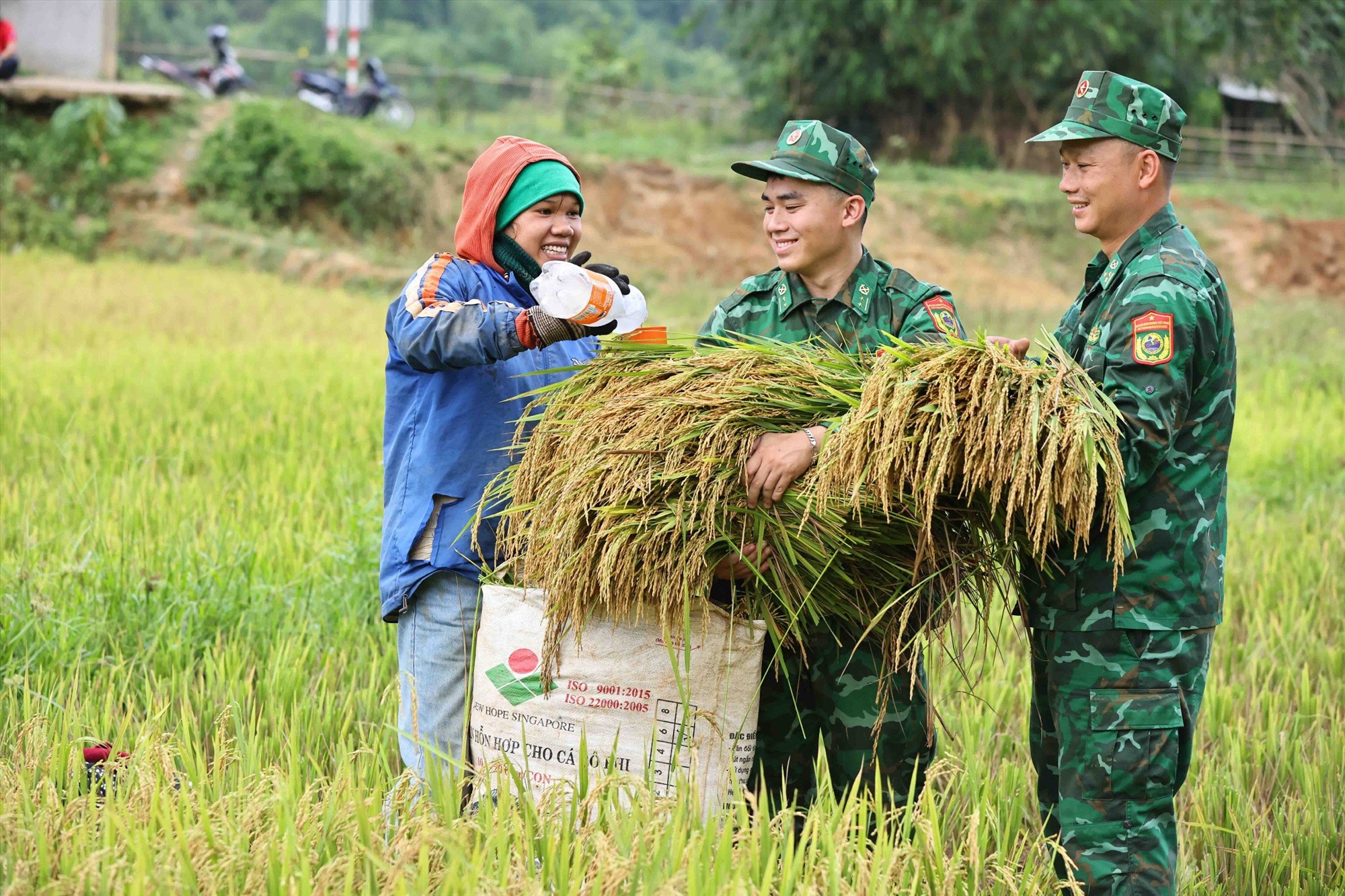 Dịp này, lúa đã chín, nhưng gia đình anh chỉ có 2 vợ chồng và 3 đứa con nhỏ, họ hàng làng xóm vào vụ mùa cũng bận rộn, nên chưa thu xếp đổi công gặt lúa được.