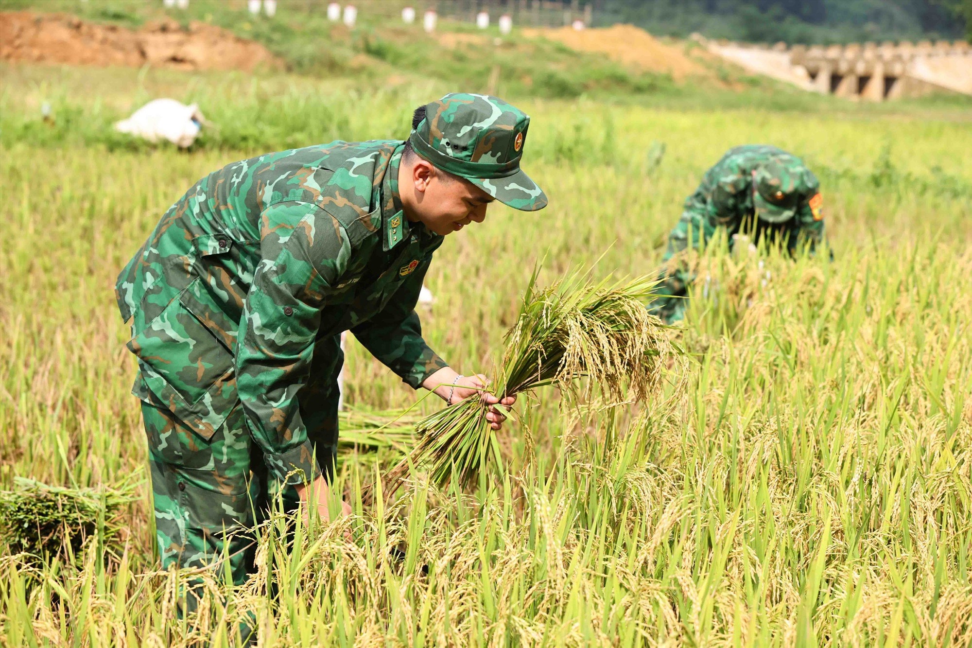 Với sự hỗ trợ của 10 cán bộ, chiến sĩ Biên phòng, đến khoảng 11h cùng ngày, lúa của gia đình anh Cam được gặt xong.