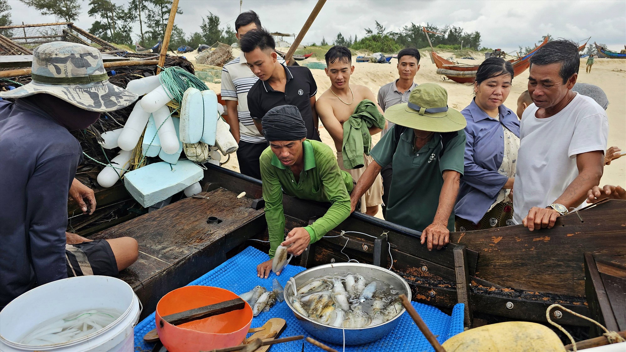 Thành quả sau một chuyến đặt bẫy là những con mực lá tươi rói - Ảnh: L.A