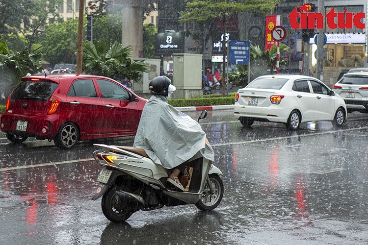 Bắc Bộ, Bắc Trung Bộ có nơi mưa to.