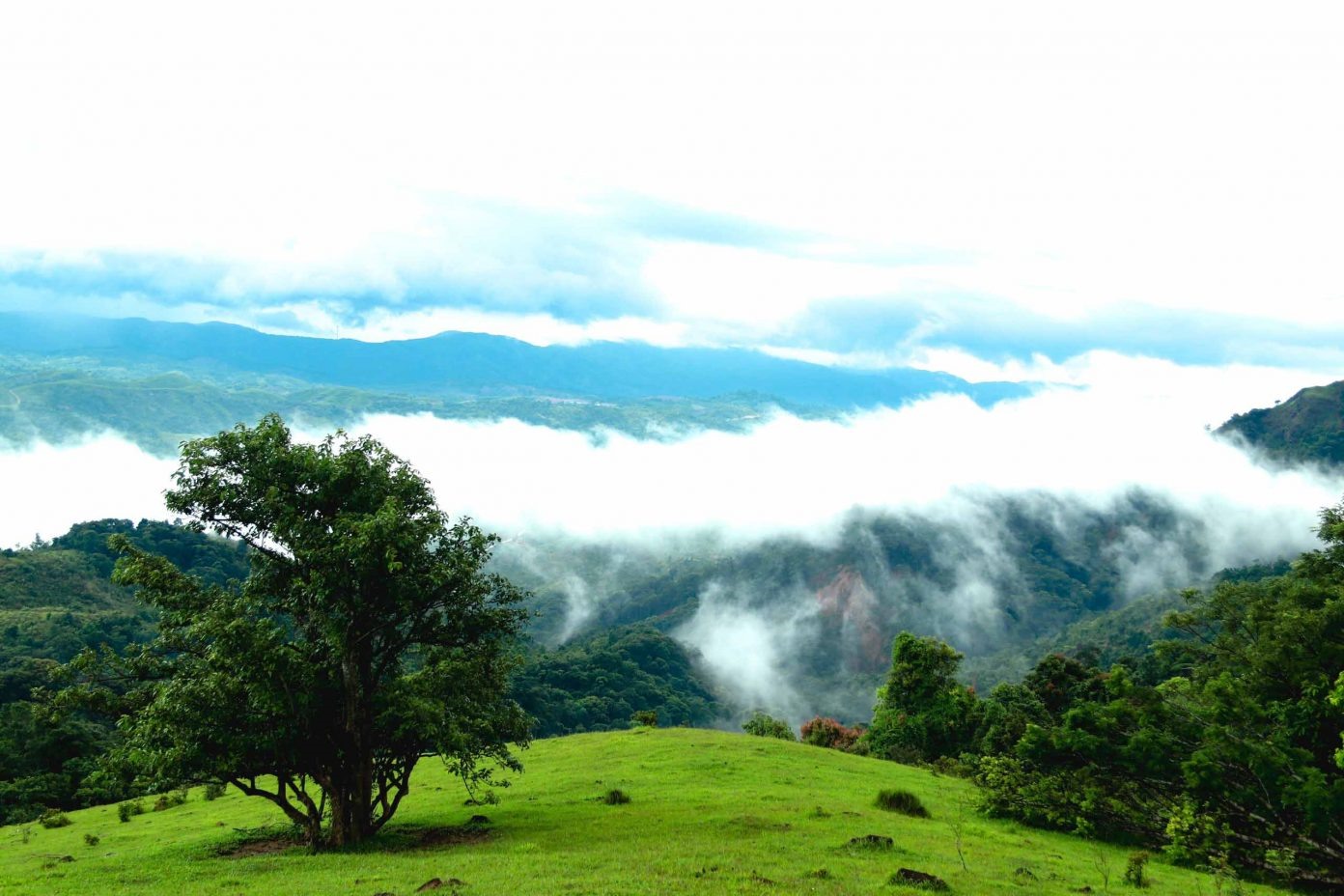 “Đồi cỏ Xa Reng phù hợp cho người mới bắt đầu trekking, vì quãng đường không quá dài, đường đi cũng không khó. Điểm nổi bật trên cung trekking này là đi qua nhiều dạng địa hình và thảm thực vật khác nhau. Đặc biệt, du khách cũng có thể săn mây vào những ngày thời tiết thuận lợi”, anh Sinh nói. Ảnh: Trường Sinh/Khe Sanh Discovery