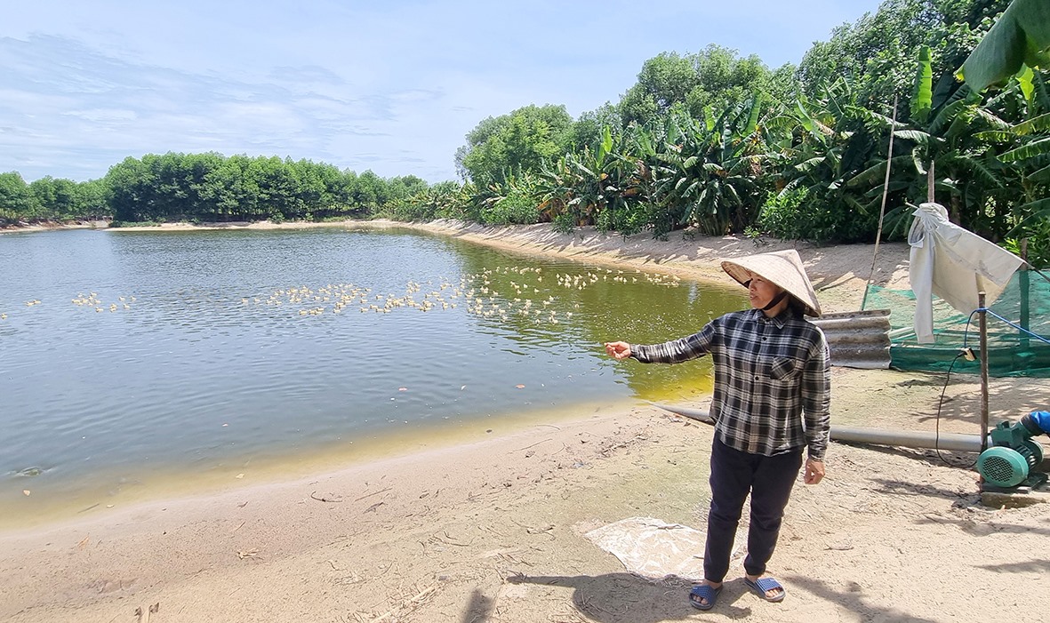 Chị Hồng giới thiệu một góc trong mô hình kinh tế tổng hợp của mình -Ảnh: K.S