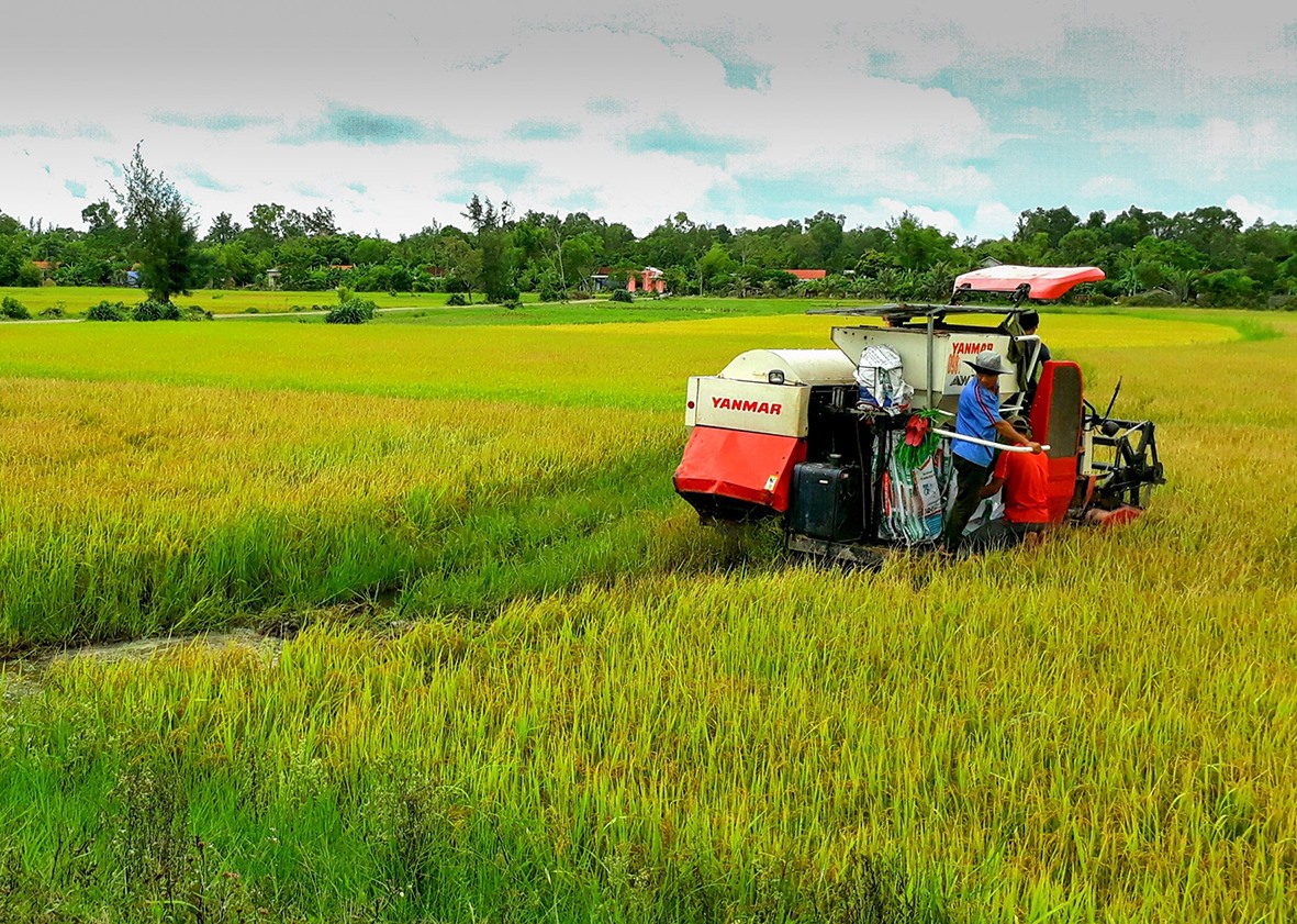 Xã Trung Hải, huyện Gio Linh đưa cơ giới vào sản xuất trên đồng ruộng cho hiệu quả cao -Ảnh: TRẦN TUYỀN