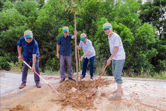 Bà Jerrilyn Brusseau - người đồng sáng lập tổ chức PeaceTrees Vietnam và lãnh đạo Quỹ Hòa bình và Phát triển Việt Nam trồng cây hòa bình trên tuyến đường Lê Thánh Tông, TP Đông Hà vào tháng 7/2024. Ảnh: Nguyên Linh/TTXVN