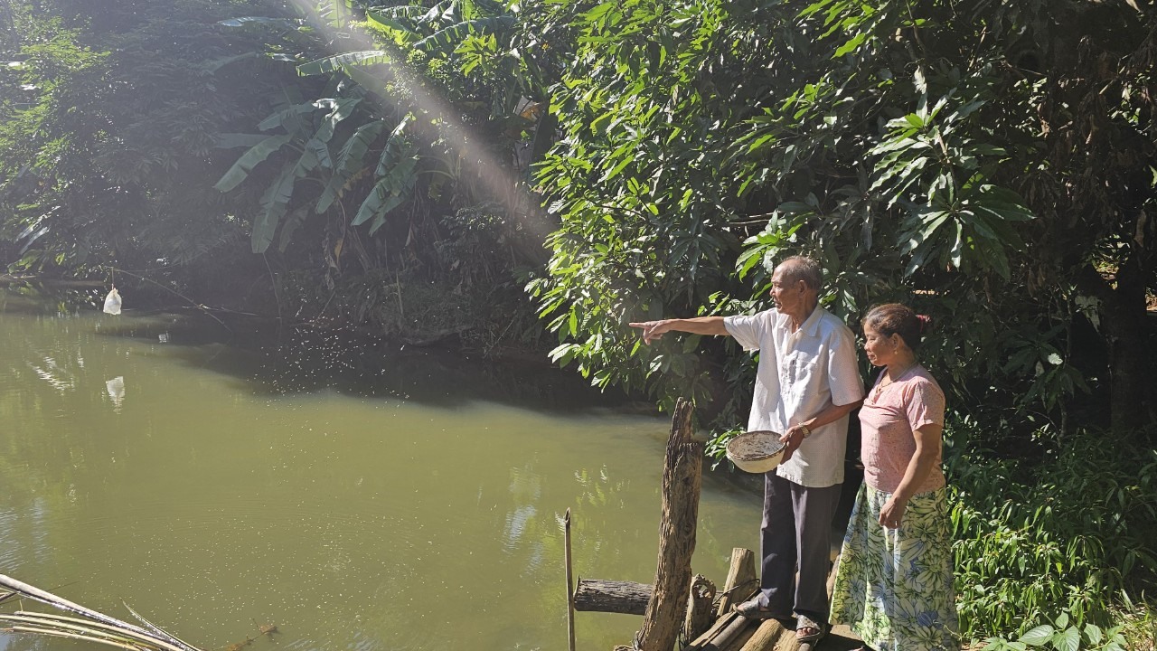 Hồ cá mang lại nguồn thu nhập không nhỏ cho gia đình ông Hồ Xuân Pay - Ảnh: T.T