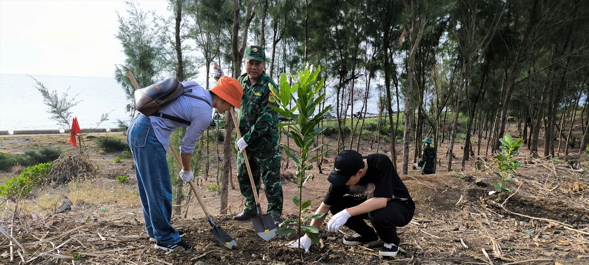 Đông đảo cán bộ, chiến sĩ, đoàn viên và Nhân dân tham gia thu gom rác thải dọc bờ biển và trồng cây xanh chắn sóng tại bãi biển khu vực Bến Nghè - Ảnh: V.H