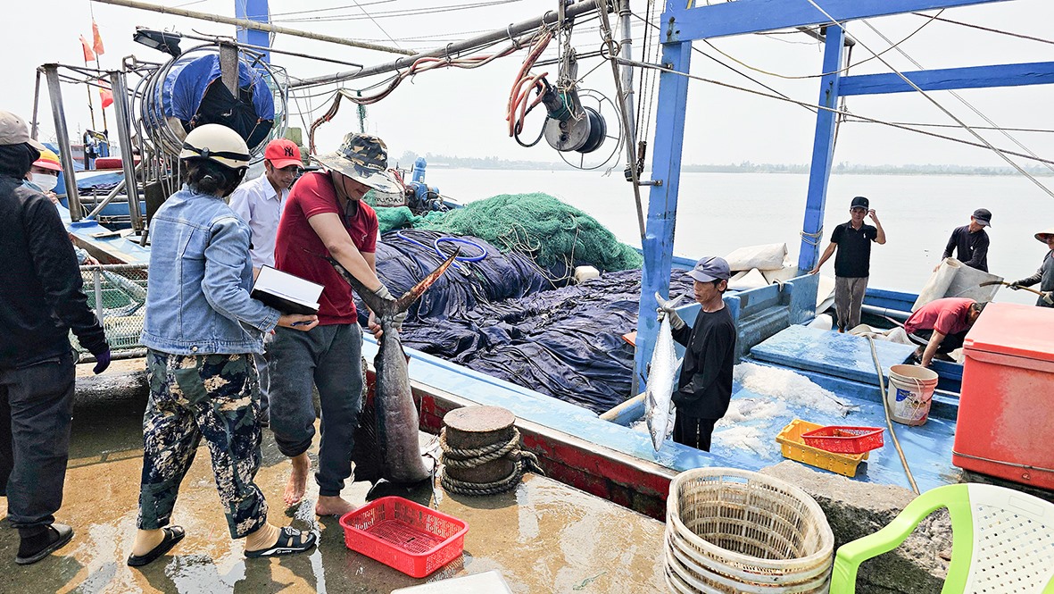 Ngư dân bốc dỡ hải sản tại cảng cá Cửa Việt sau chuyến đánh bắt dài ngày tại các ngư trường truyền thống- Ảnh: L.A