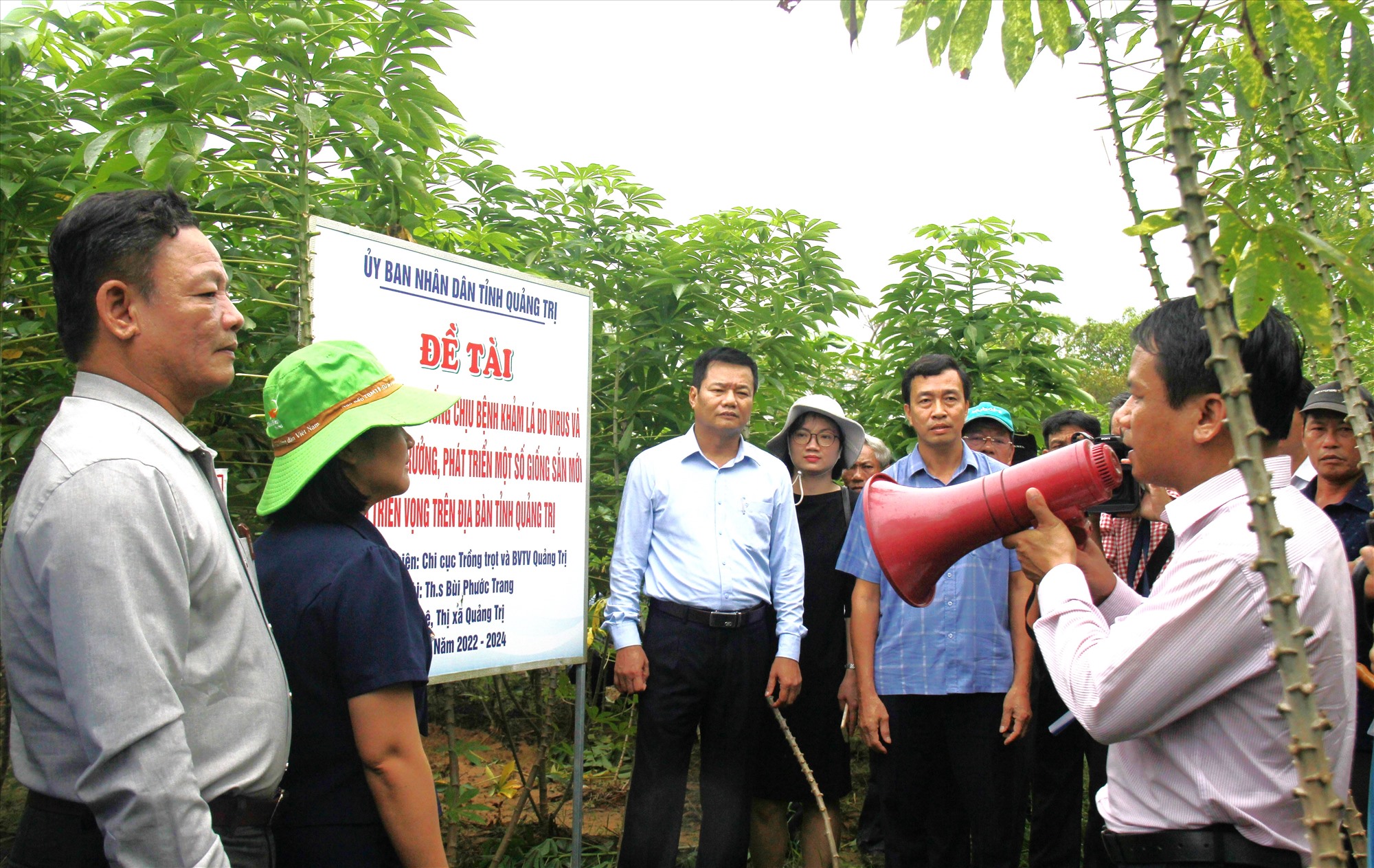 Các đại biểu tham quan địa điểm khảo nghiệm giống sắn mới tại xã Hải Lệ, thị xã Quảng Trị - Ảnh: S.H