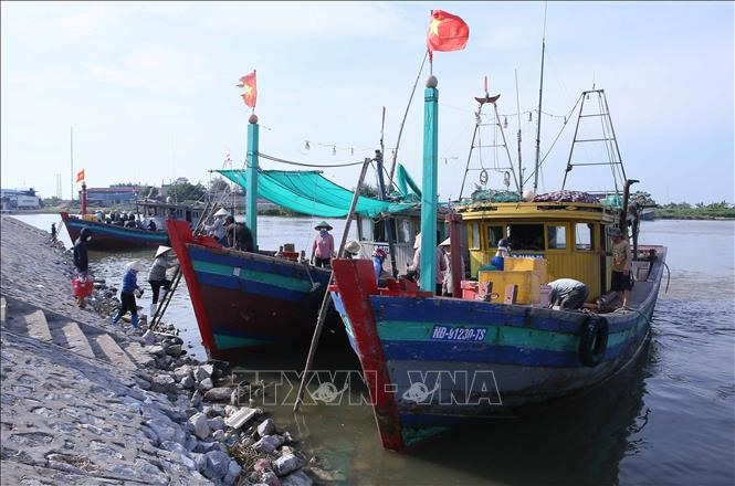 Tàu thuyền cập bến Khu neo đậu tránh trú bão kết hợp cảng cá Hà Lạn, huyện Giao Thuỷ (Nam Định). Ảnh: Công Luật - TTXVN