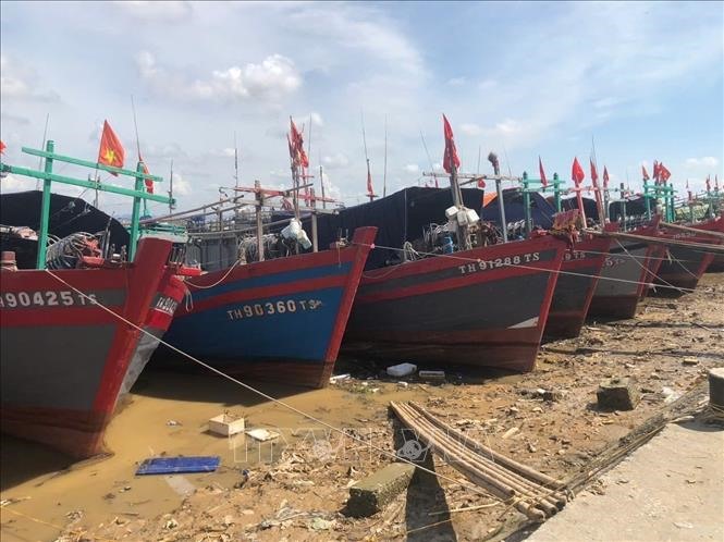 Tàu thuyền về tới khu neo đậu tránh trú bão Lạch Trường (xã Hoằng Trường, huyện Hoằng Hóa, Thanh Hóa). Ảnh: Hoa Mai/TTXVN