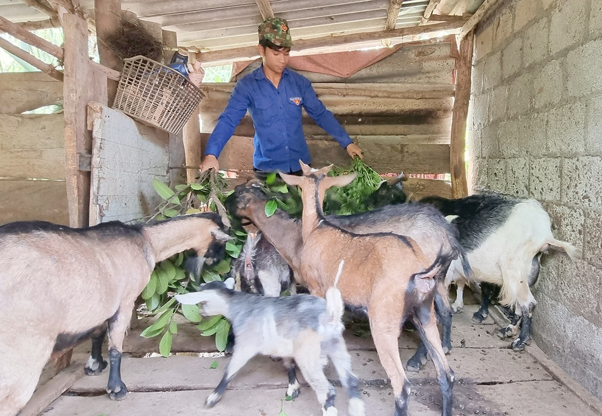 Một mô hình phát triển kinh tế hiệu quả ở xã A Ngo, huyện Đakrông do thanh niên người DTTS làm chủ - Ảnh: N.T