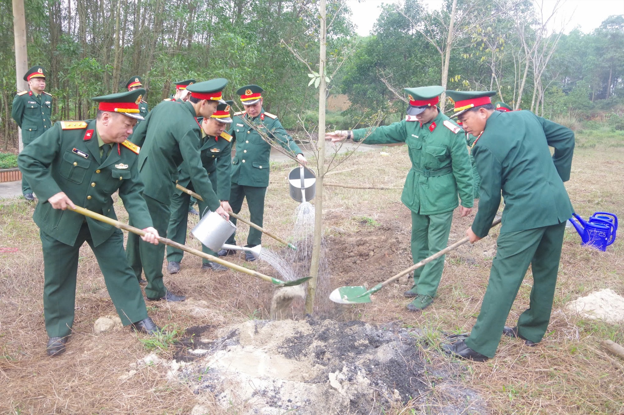 Bộ Chỉ huy Quân sự tỉnh tổ chức phát động Tết trồng cây “Đời đời nhớ ơn Bác Hồ” – xuân Ất Tỵ năm 2025 -Ảnh: XUÂN DIỆN