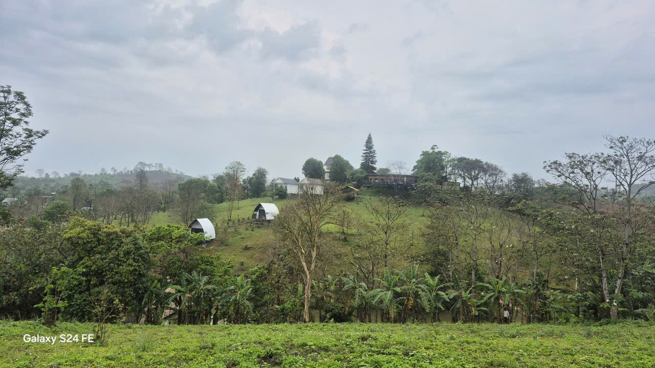 Một góc Cheng Farm